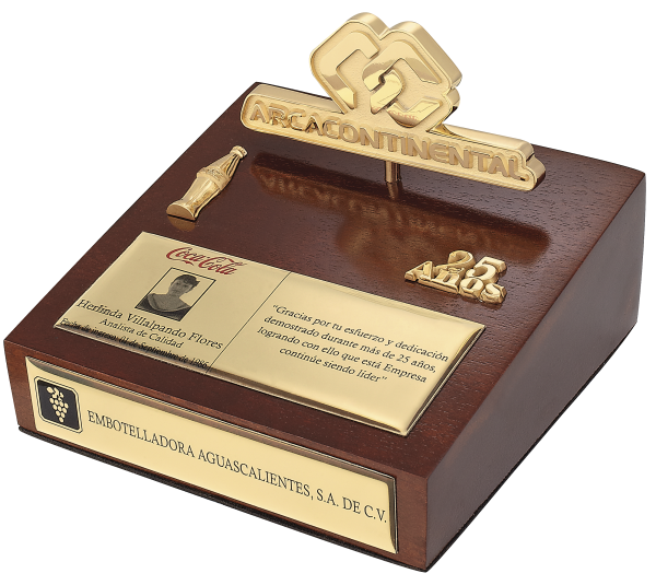 Reconocimiento con moneda de 100mm