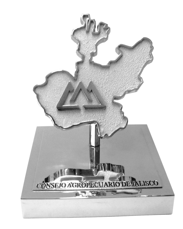 Reconocimiento con moneda de 70mm