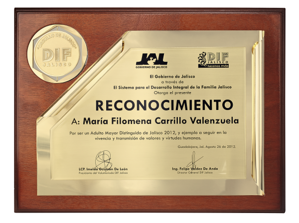 Reconocimiento  / Moneda Giratoria