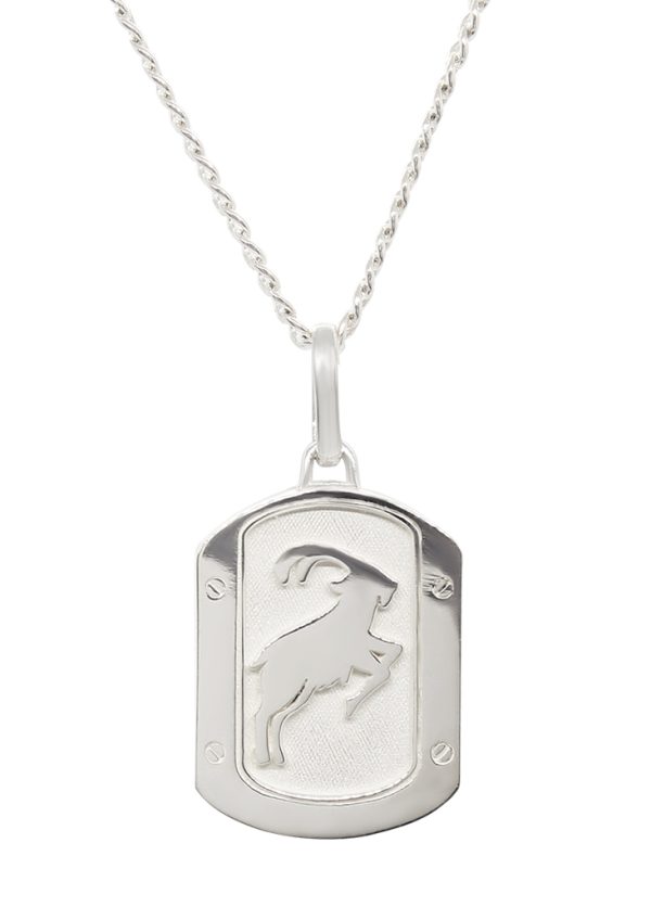 DIJE CAPRICORNIO EN PLATA.925 CON CADENA