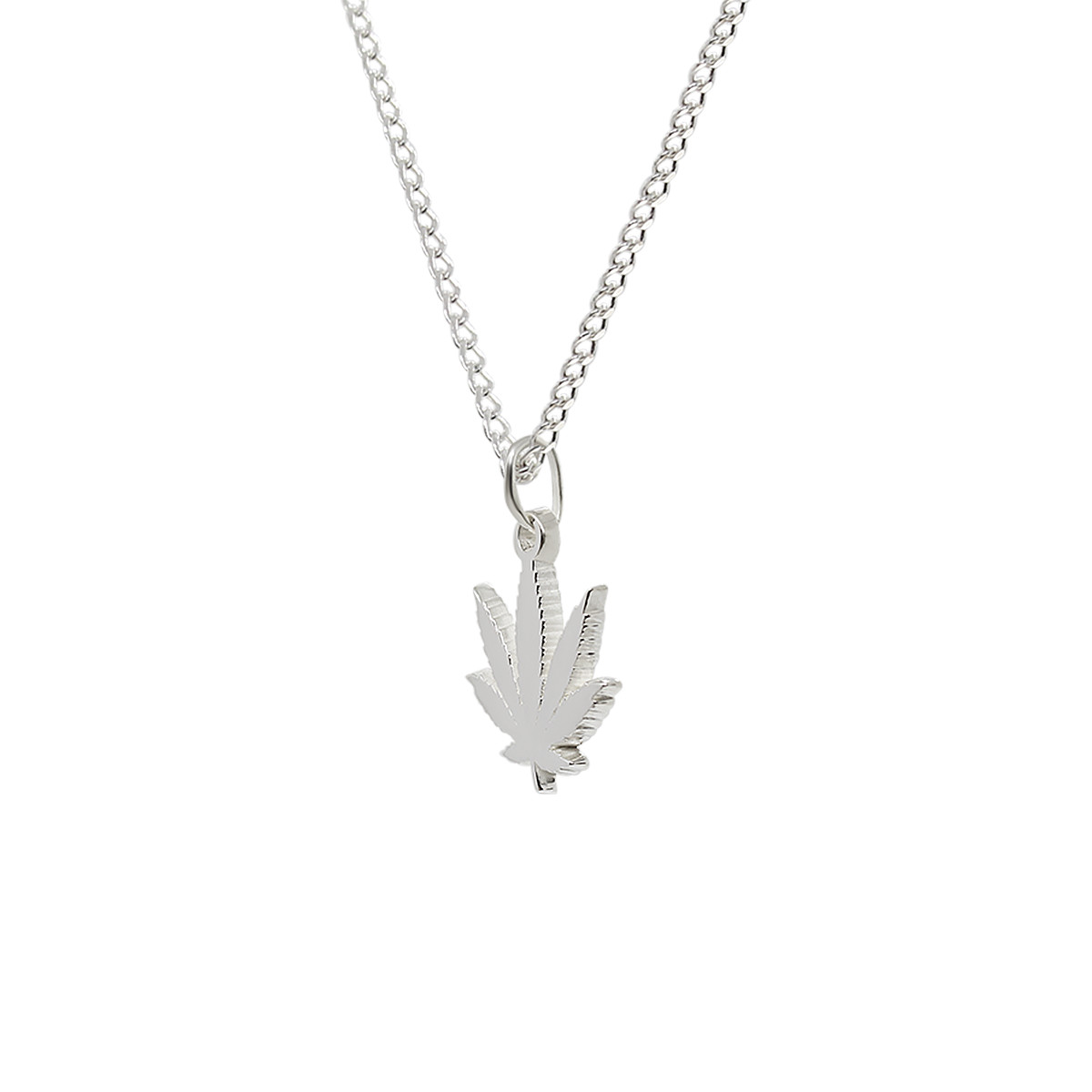 marihuana-lateral-1.jpg marihuana-lateral-1.jpg